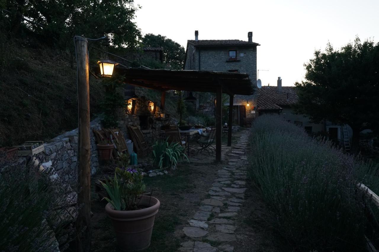 Agriturismo La Colombella Bagni San Filippo Buitenkant foto