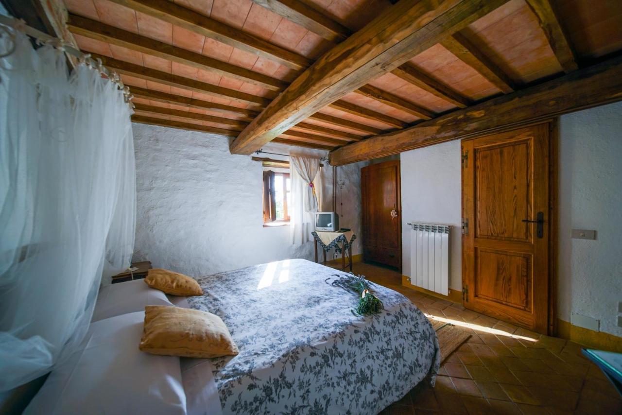 Agriturismo La Colombella Bagni San Filippo Buitenkant foto