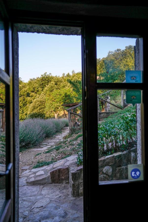Agriturismo La Colombella Bagni San Filippo Buitenkant foto