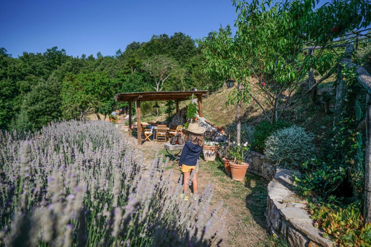 Agriturismo La Colombella Bagni San Filippo Buitenkant foto